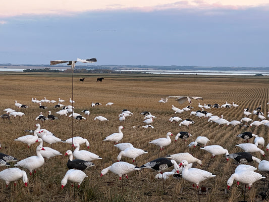 An Unforgettable Waterfowl Hunting Expedition in Saskatchewan